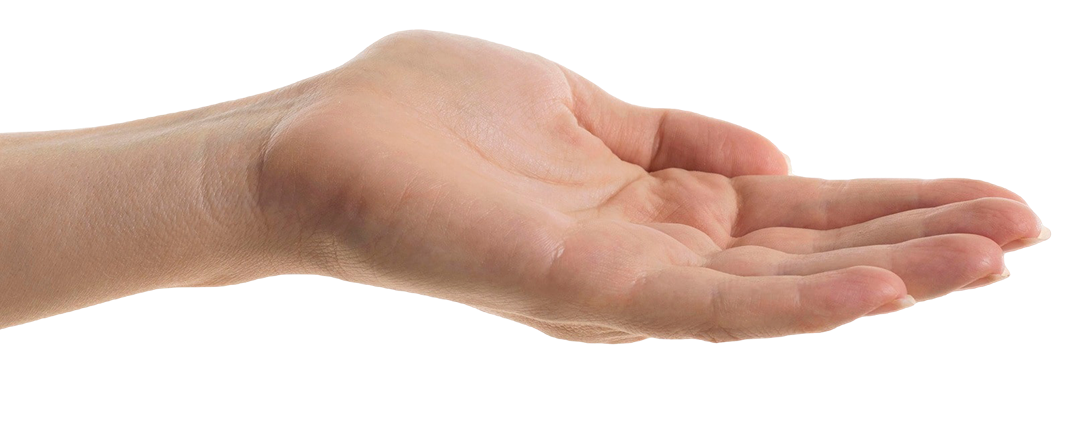 aroalign hand